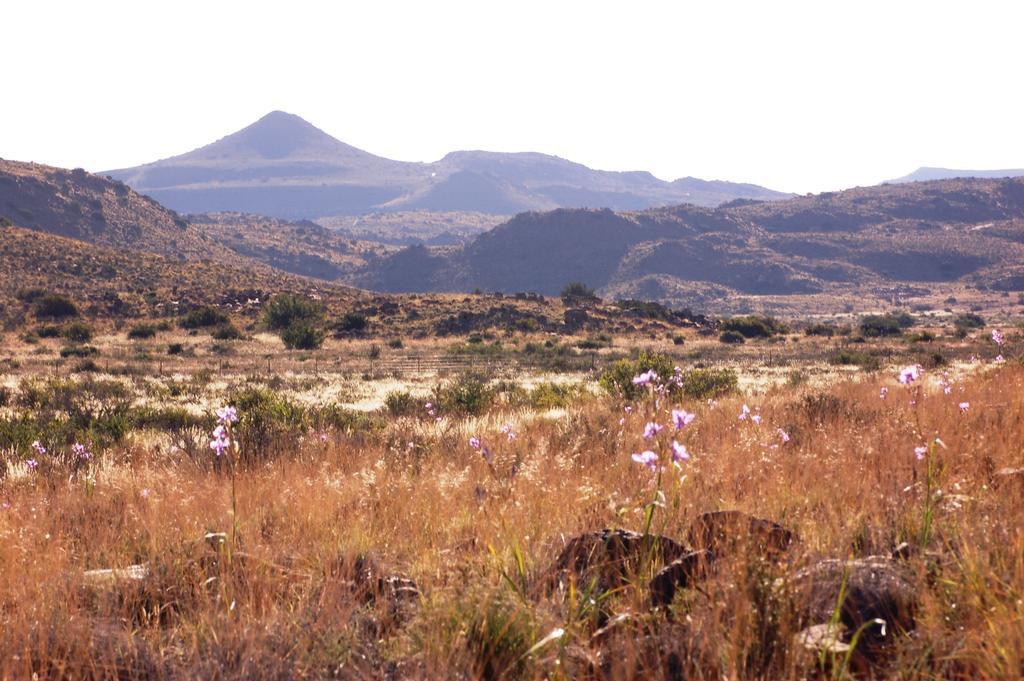 Villa The Vale Karoo Farm Nelspoort Exterior foto